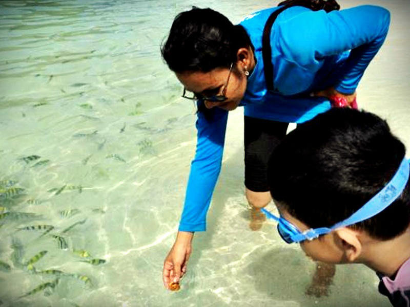 Playing with fish