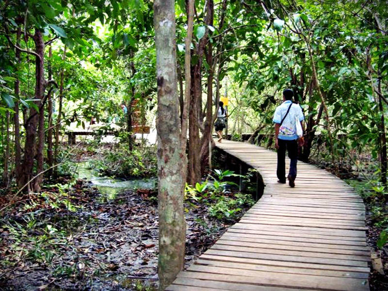Natural path / ทางเดิน
